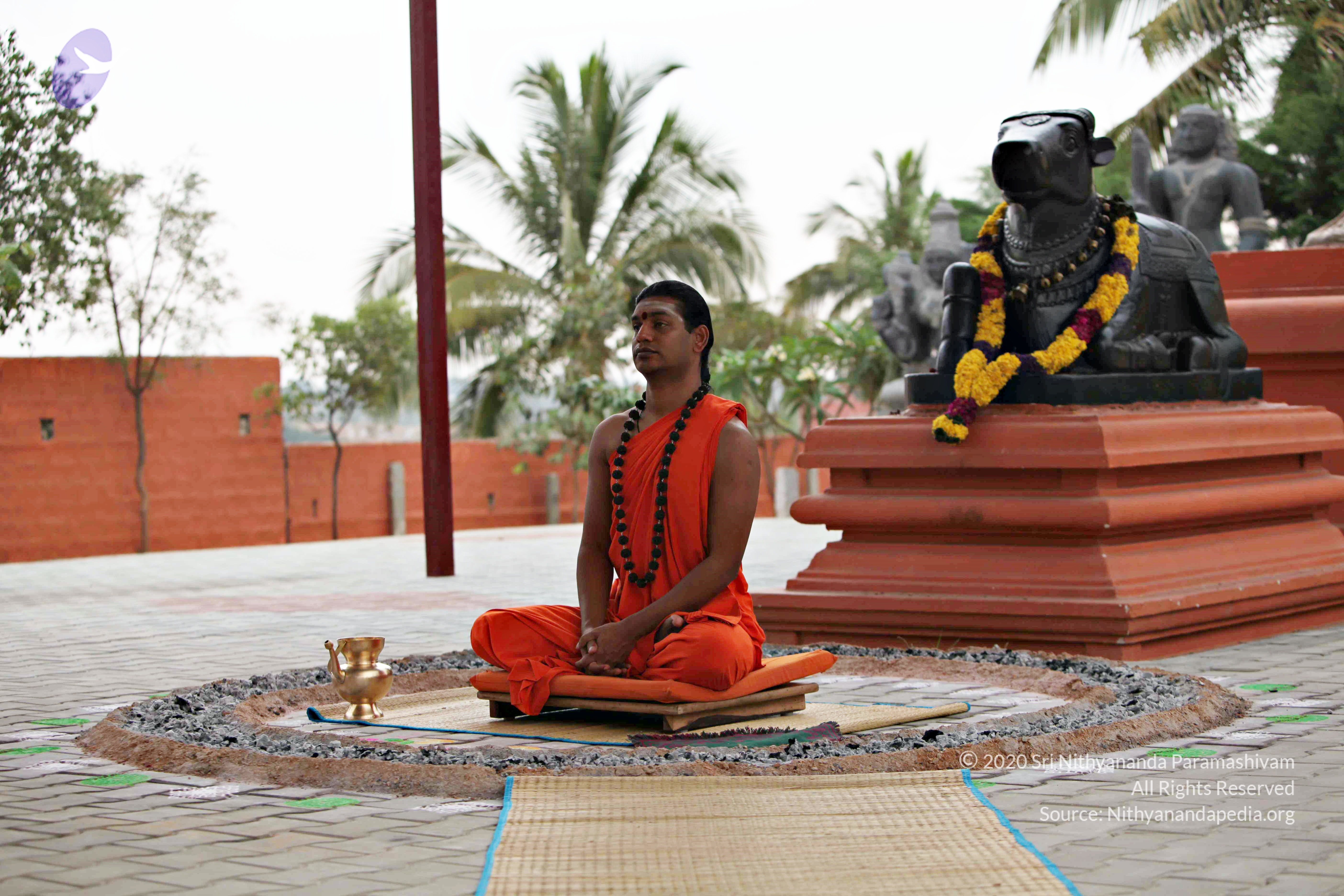 20110225_Photo_1068_IMG_0851_CMP_WM